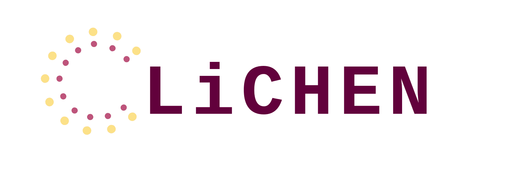 LiChen Excavator Spare Parts